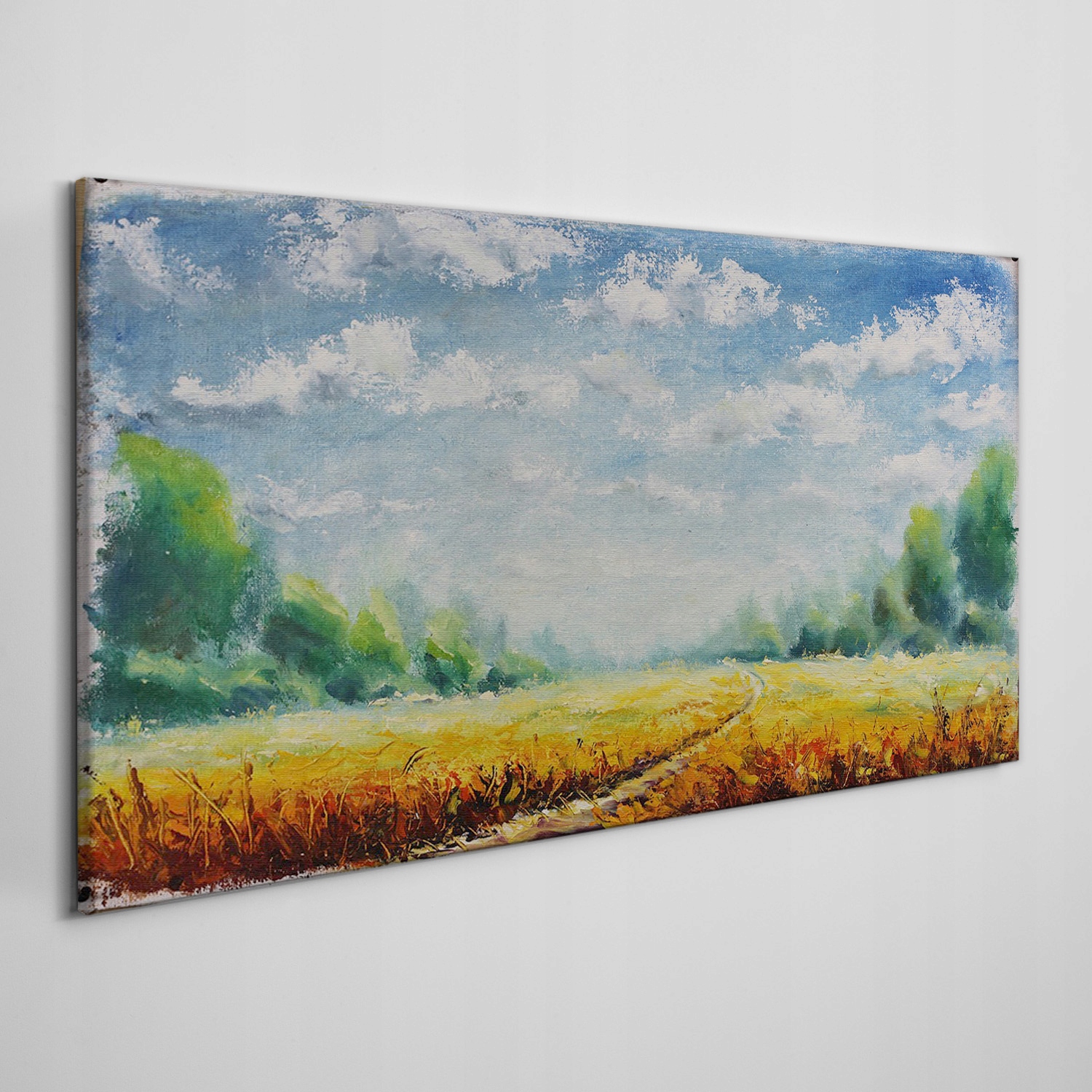 

Obraz na płótnie Łąka las niebo natura 120x60 cm