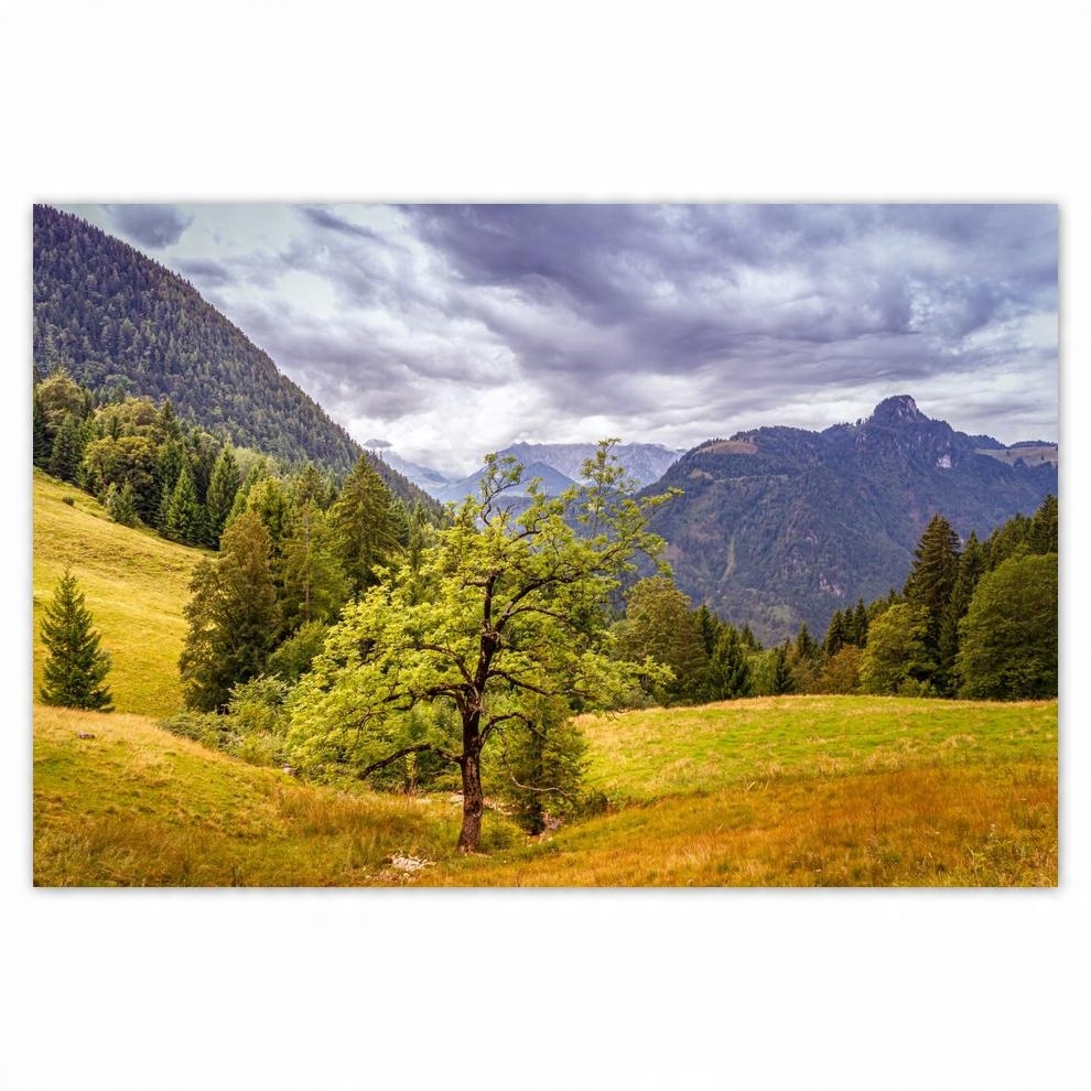 

Plakat 93x62 Drzewo do samoego nieba