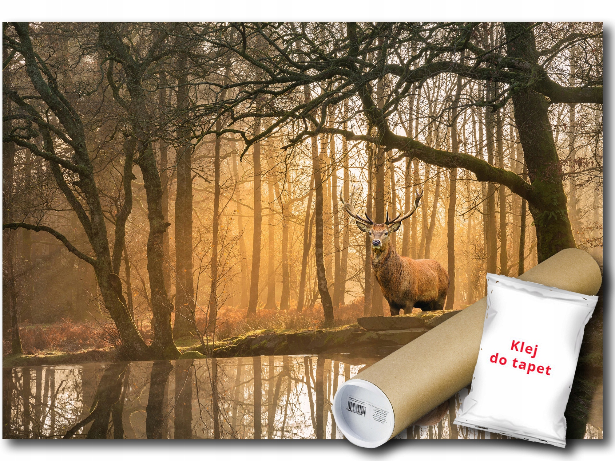 Fototapeta Vliesová Les Stromy Jelen 312x219