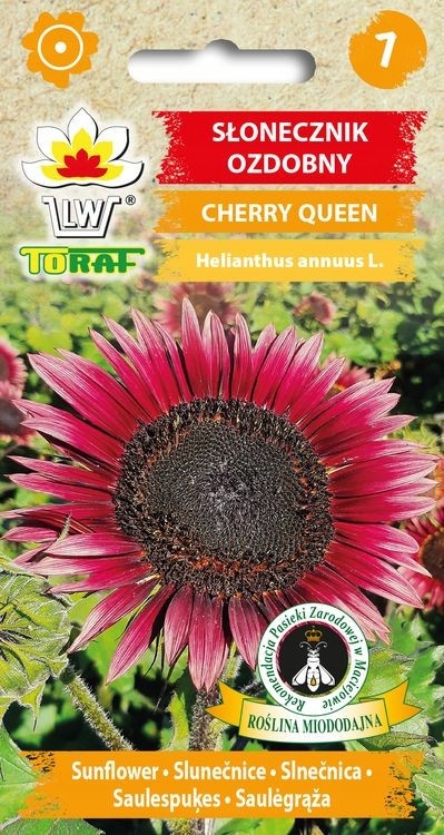 Słonecznik ozdobny CHERRY QUEEN 2g TORAF