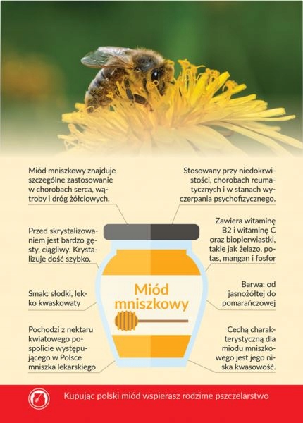 

Karta informacyjna A4 Miód Mniszkowy 1 szt
