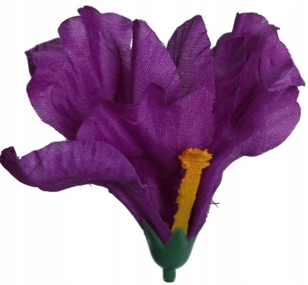 

Irys Główka Wyrobowa, Śliwkowy