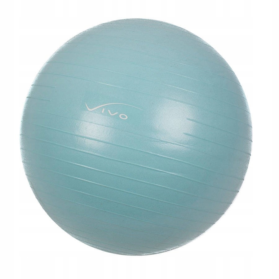 

Piłka Gimnastyczna Pompka Vivo FA-2056 65cm