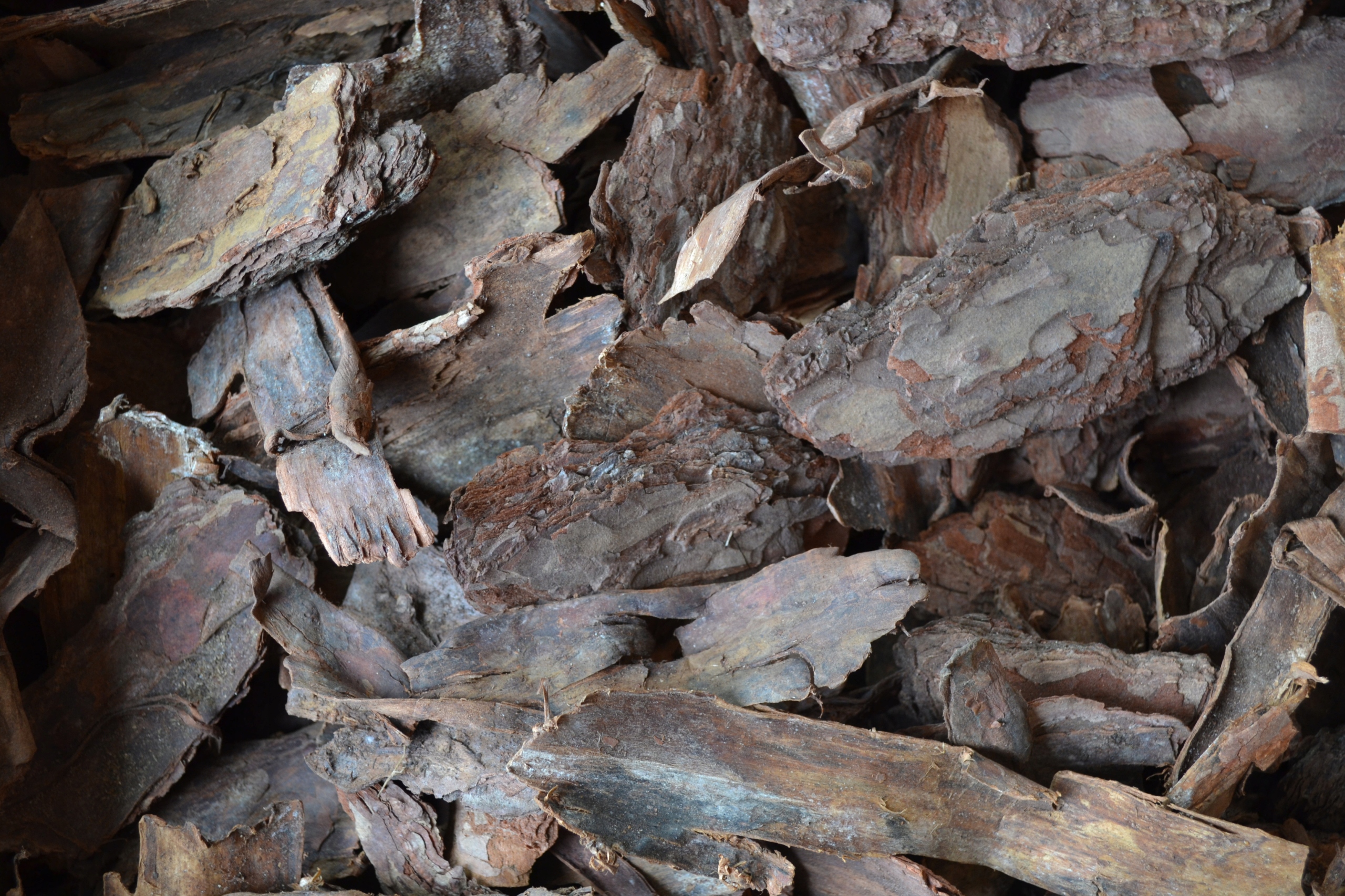 Kora Sosnowa Przesiewana Średnia 80 l Marka RD Stone