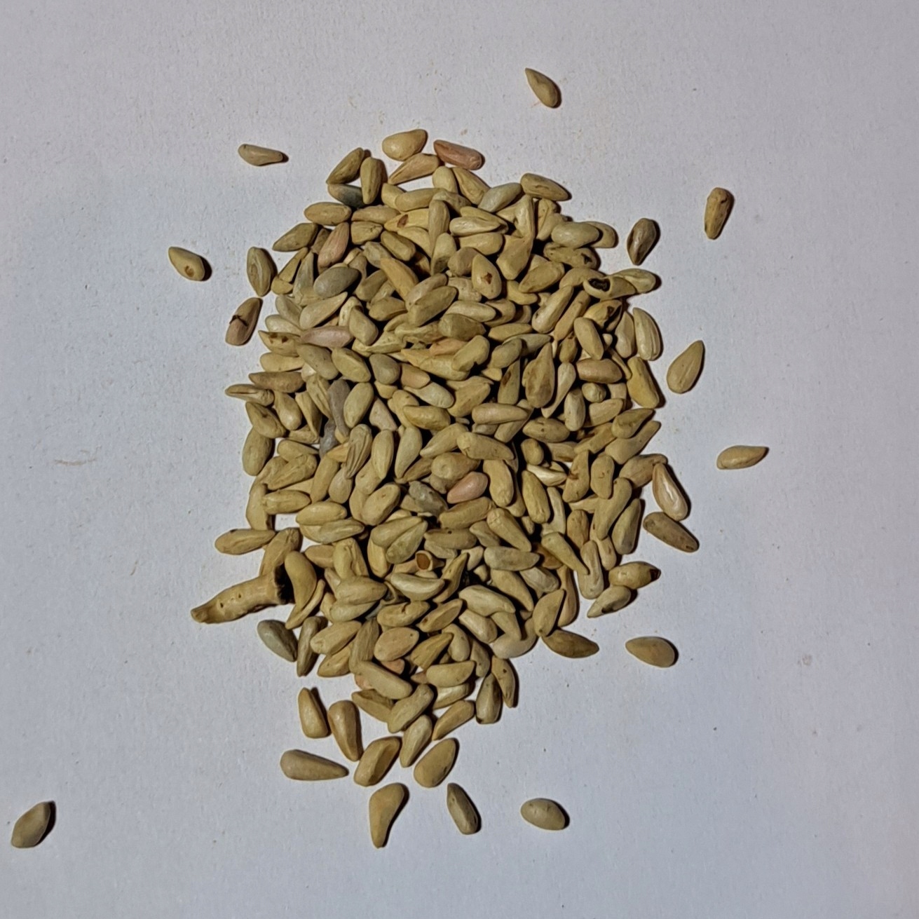 Granát Pestka 1 kg Rafex