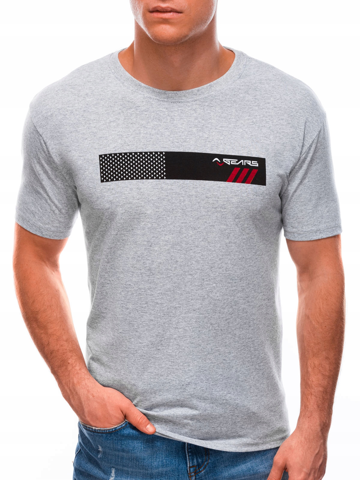 

T-shirt męski z nadrukiem 1604S szary XXL