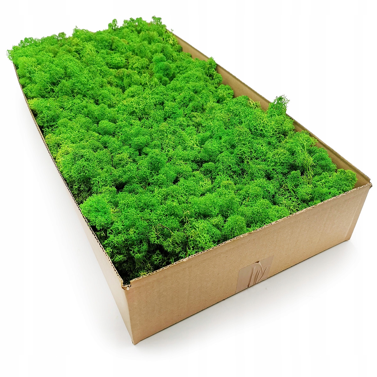 

Mech Chrobotek Alpejski Premium 2KG Netto