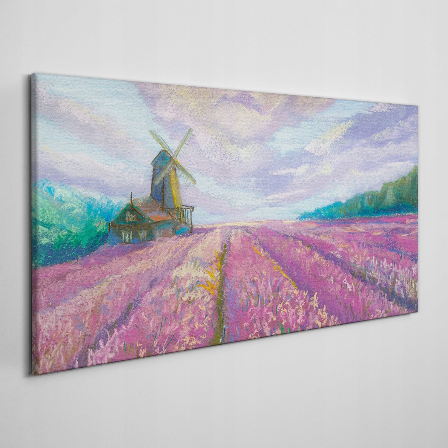 

Obraz na płótnie Łąka młyn chmury niebo 140x70 cm
