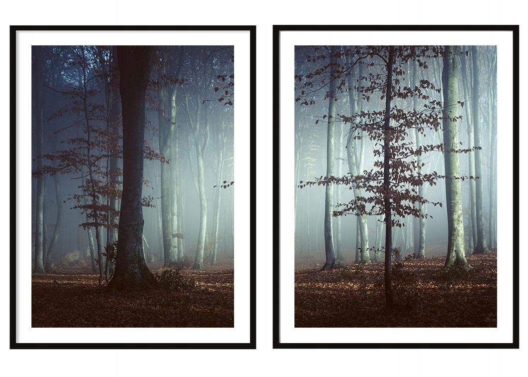 Obraz Plakáty V Rámu 53x73 cm Diptych Sada 2 obrazů Temný les P2091