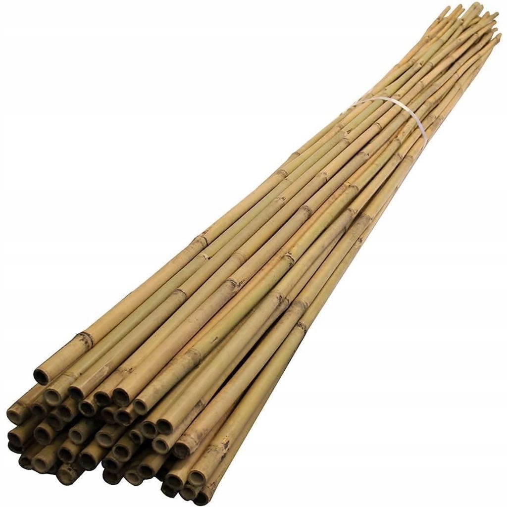 

Tyczka Bambusowa podpora do roślin 120 cm 1 szt