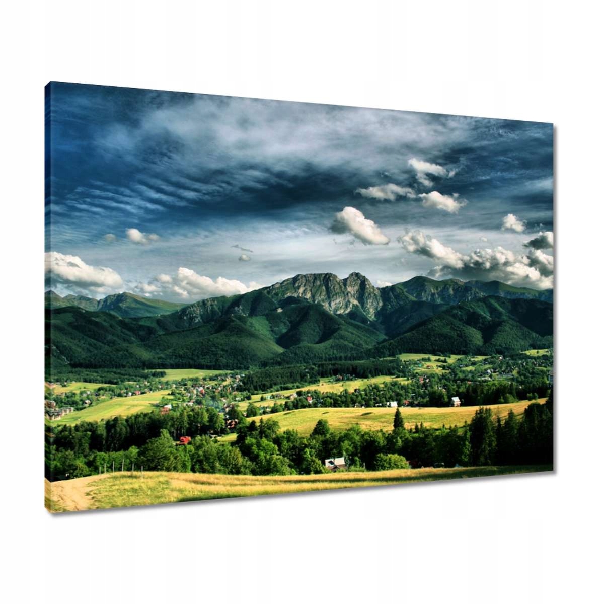 Obrazy 80x60 Tatry