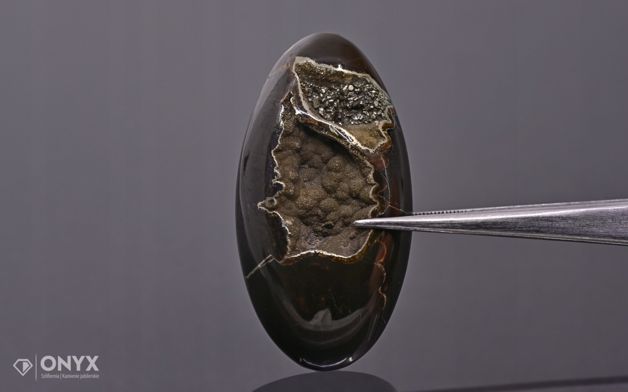 Amonit spiritizovaný ovál 44x23 mm