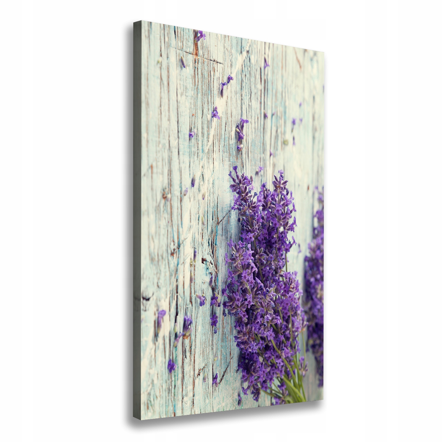 Fotoobraz obraz na plátně Levandule na dřevě 60 x 120 cm