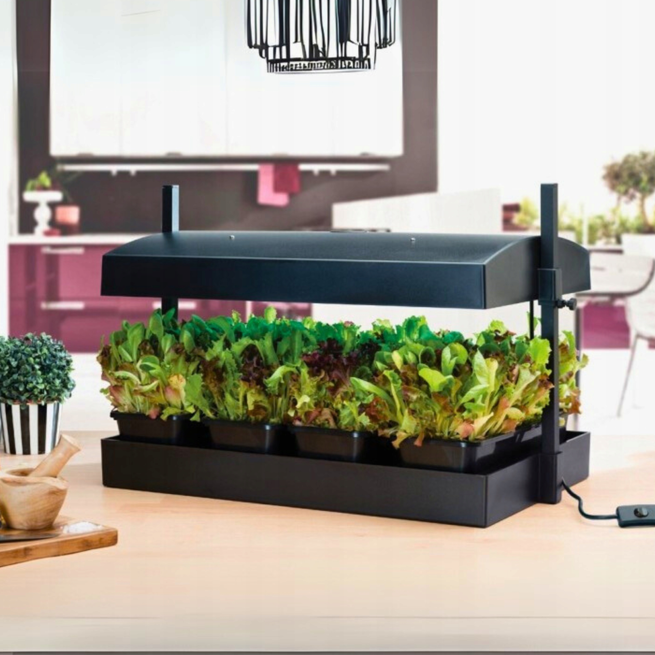 Grow Light Garden Led Black 32W Propagátor Herbárium s osvetlením