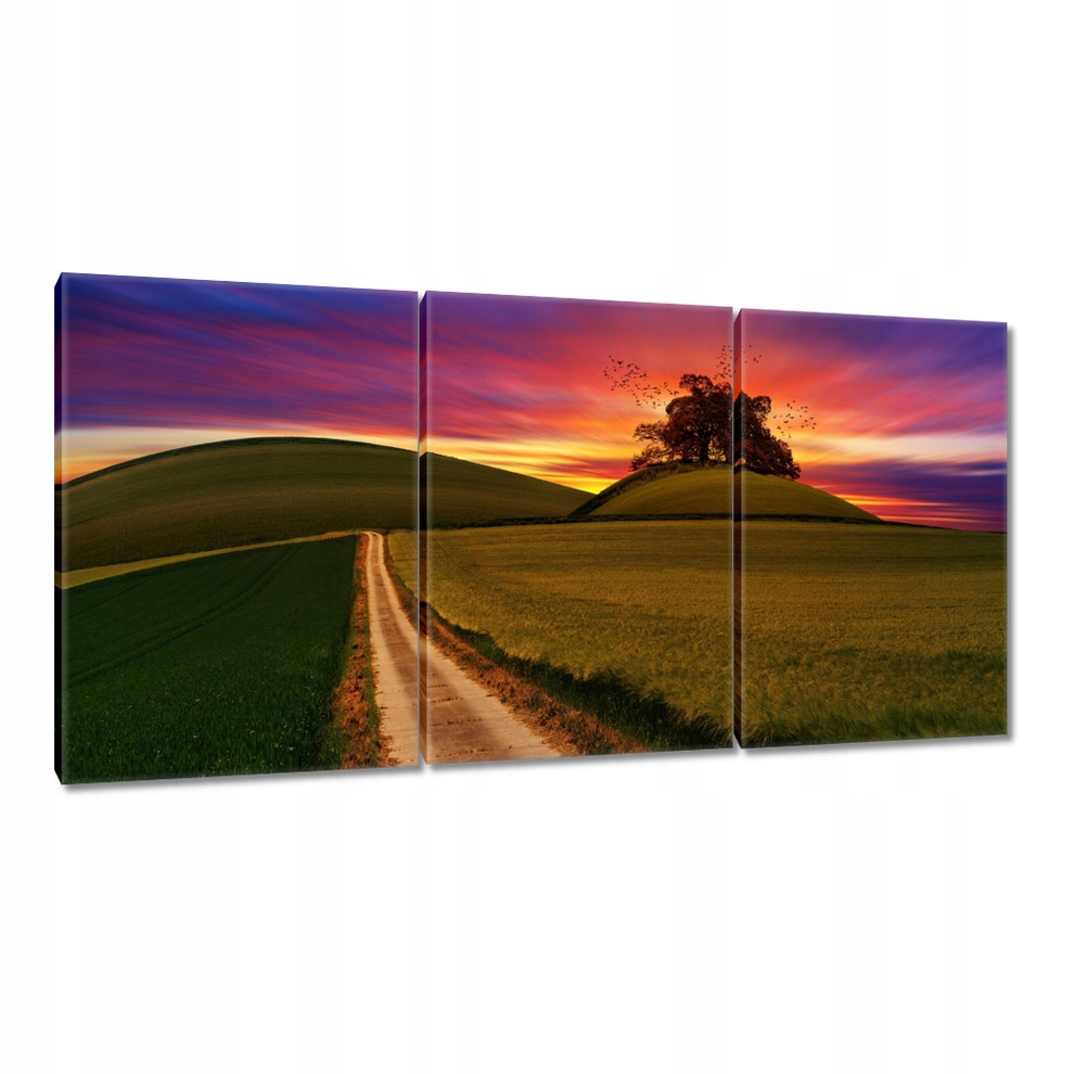 

Obrazy 120x60 Zachód słońca Góry Drzewo