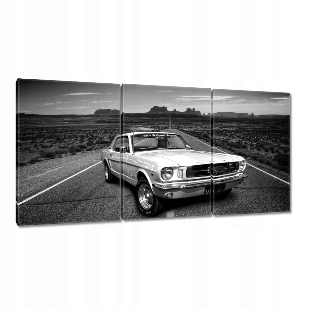 

Obrazy 120x60 Oldschoolowy Ford Mustang