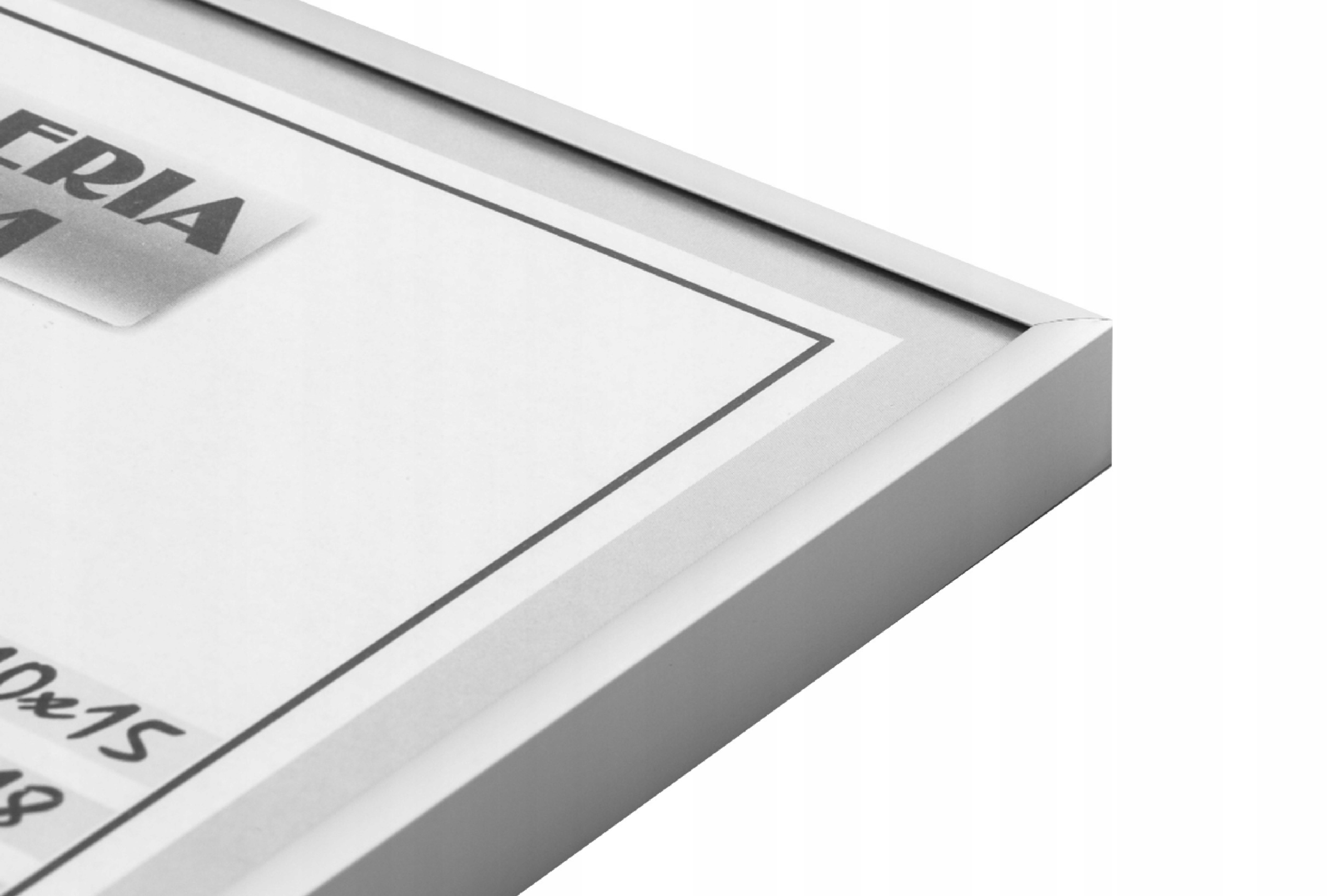 

Rama,ramka Aluminiowa 21x29,7(A4)-alu G -srebrna-