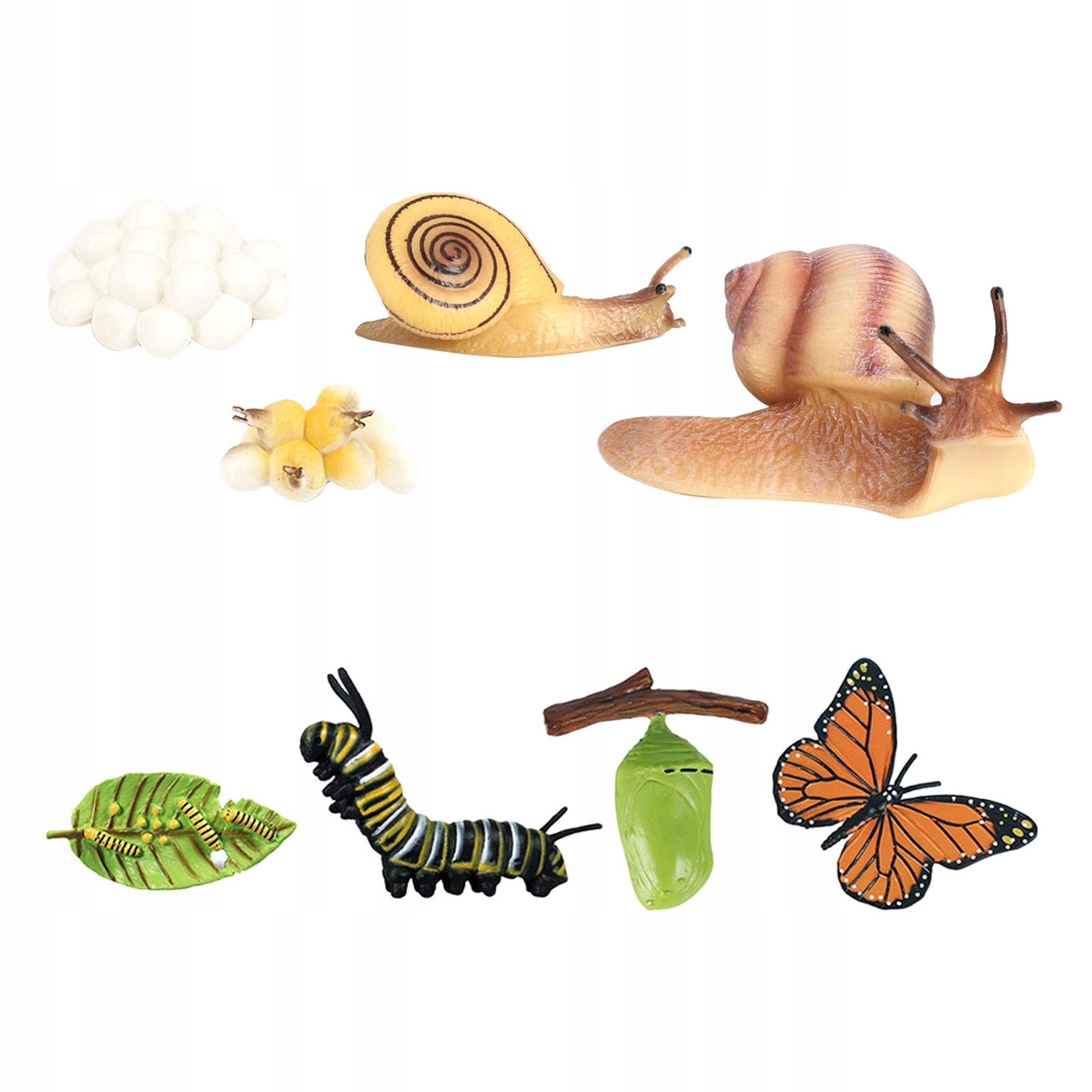 Figures of the butterfly life cycle Set of toys