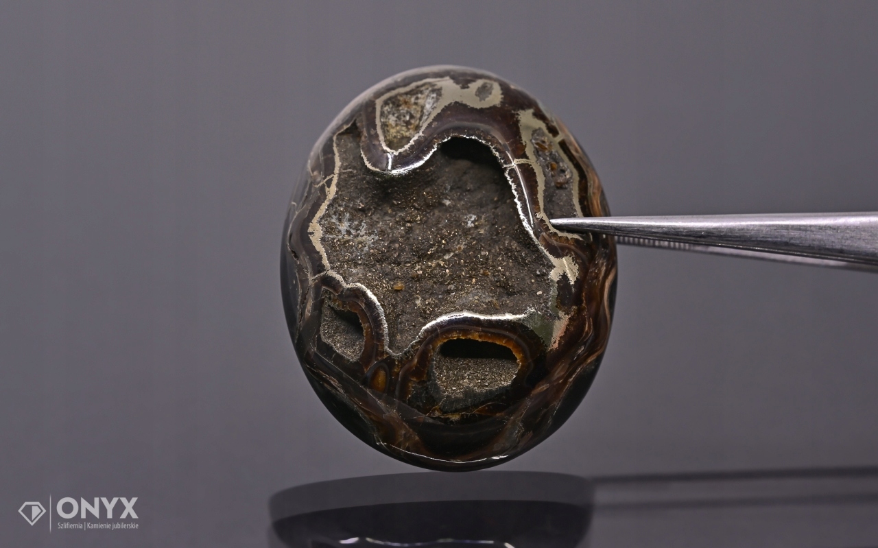 Amonit spiritizovaný ovál 41x33 mm