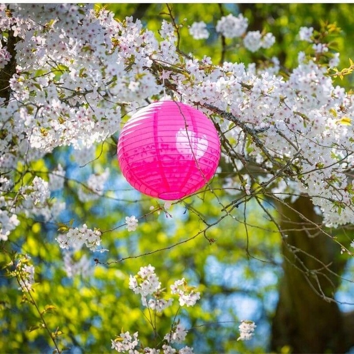 Solarny lampion ogrodowy solarna lampa ogrodowa 4x Stan opakowania oryginalne