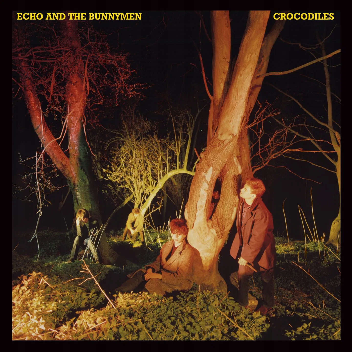Echo & The Bunnymen: Crocodiles Vinyl (lp)