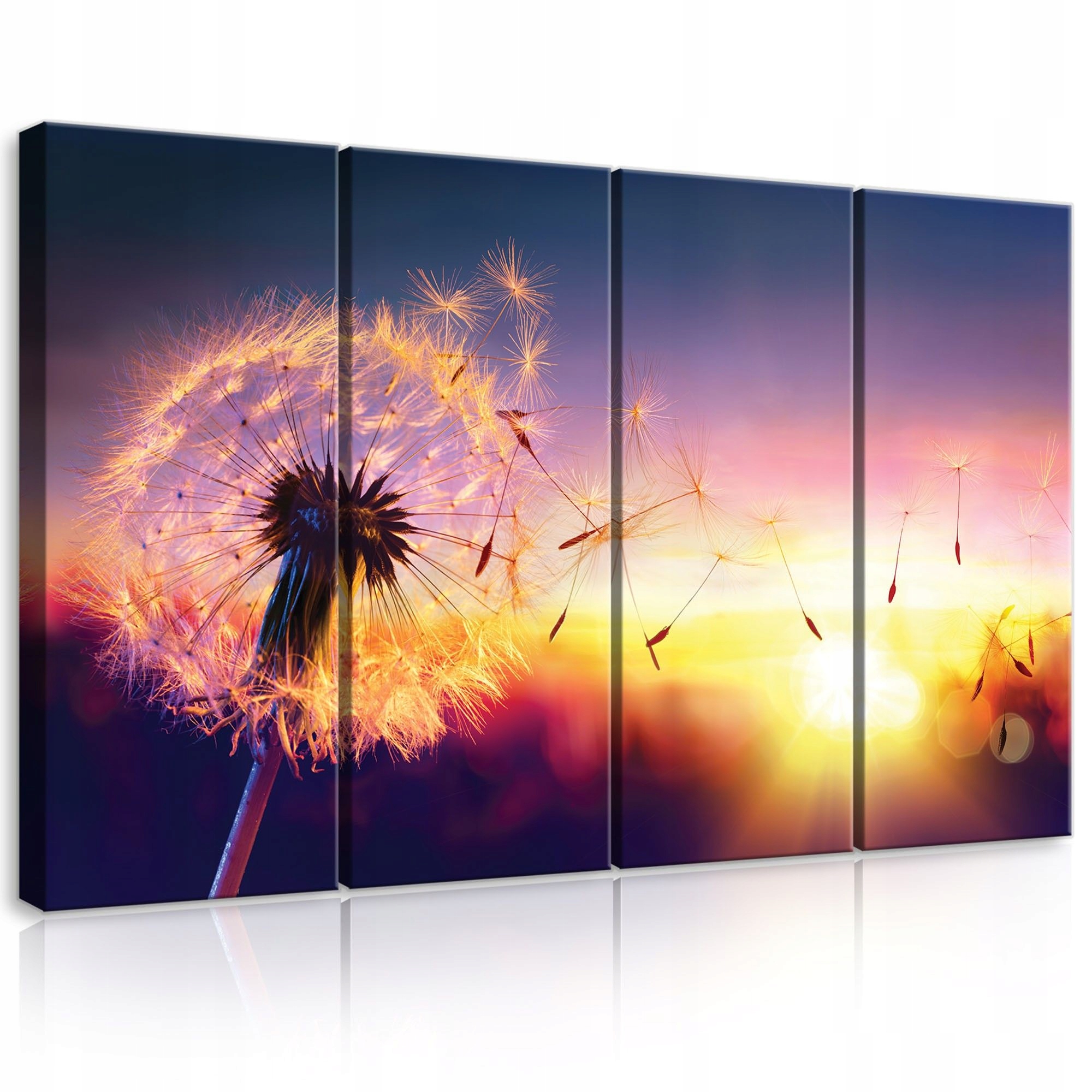 Obraz 120x80 Pampeliška lékařská západ slunce příroda světlo sen