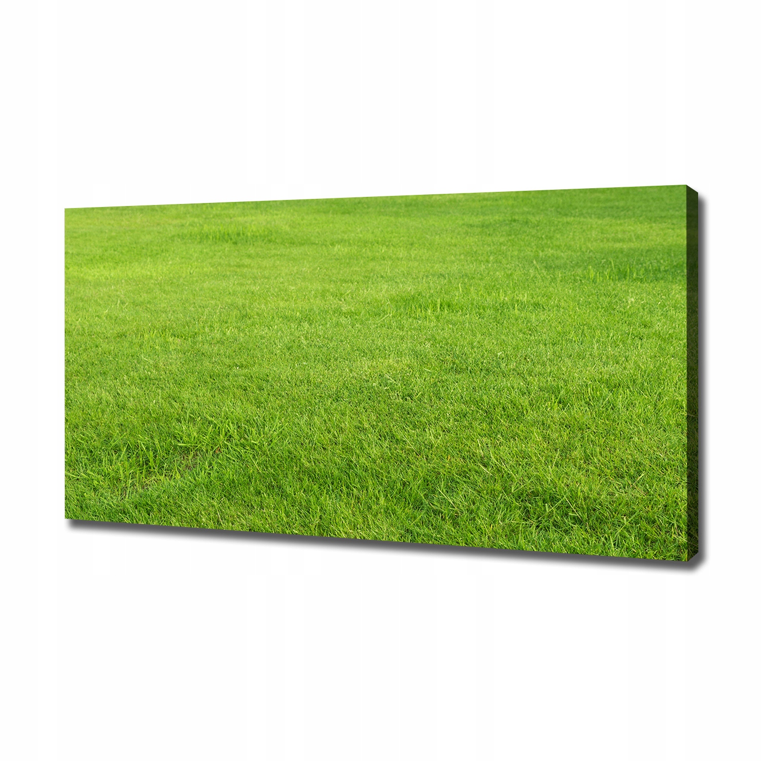 

Foto obraz na płótnie Zielona trawa 120x60 cm