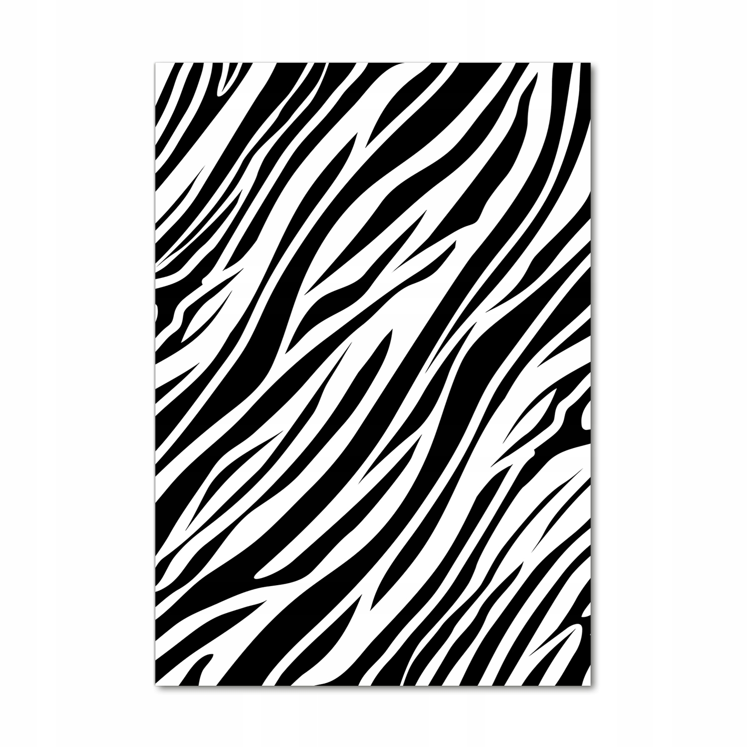 

Foto obraz akrylowy na ścianę Zebra tło 70x100cm