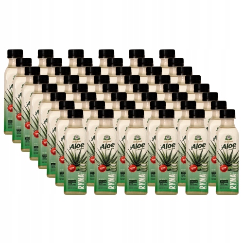 Ryna Aloevera Sok 250ML x 48 Sztuk
