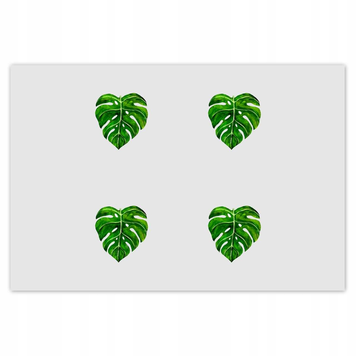 Plakáty 200x135 Monstera děravé listy