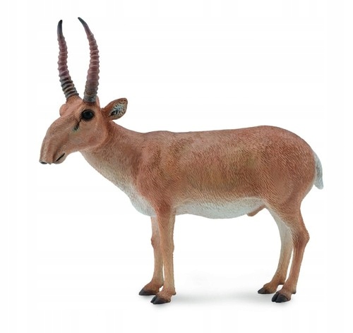 

Siaga antelope