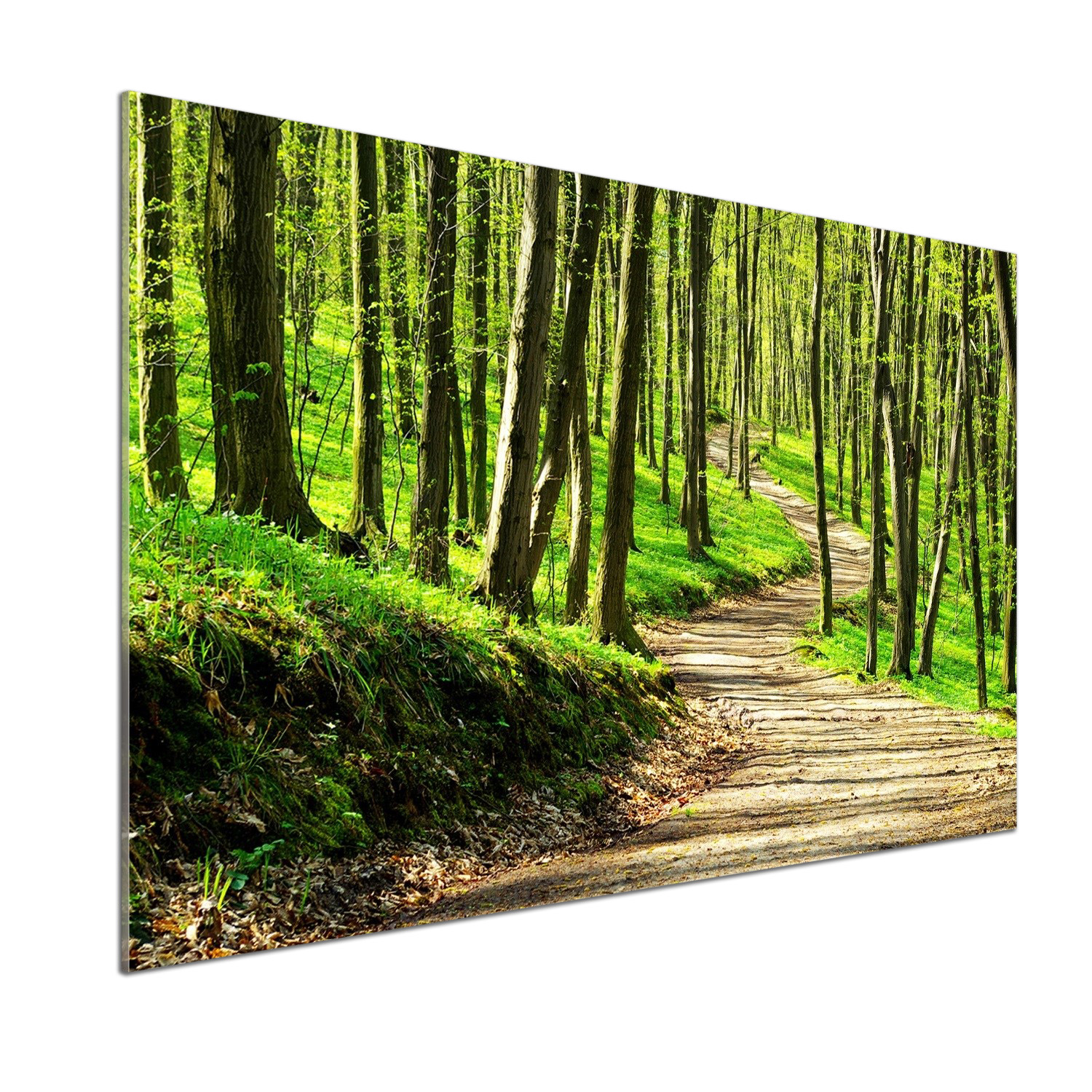 Panel do kuchyne Cesta v lese 100 x 70 cm Lepidlo