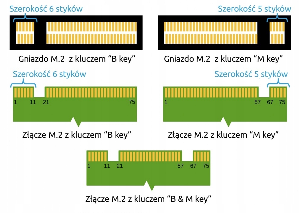 Adapter Kieszeń dysk 3.1 M.2 USB-C obudowa 10Gb/s Producent Zenwire
