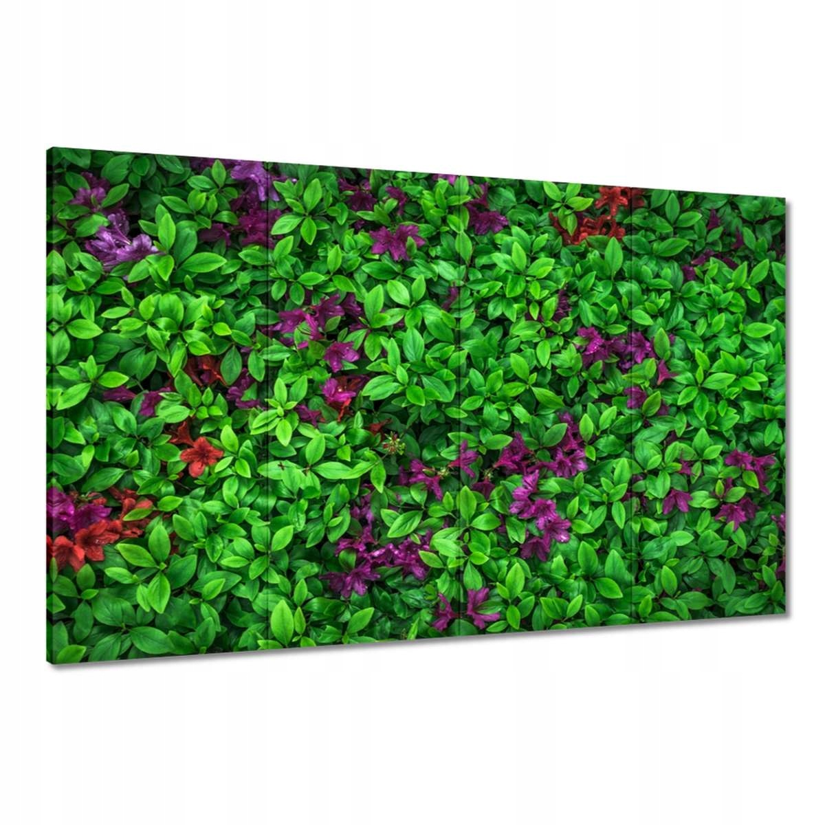 Obrazy 120x80 Azalka zahradní