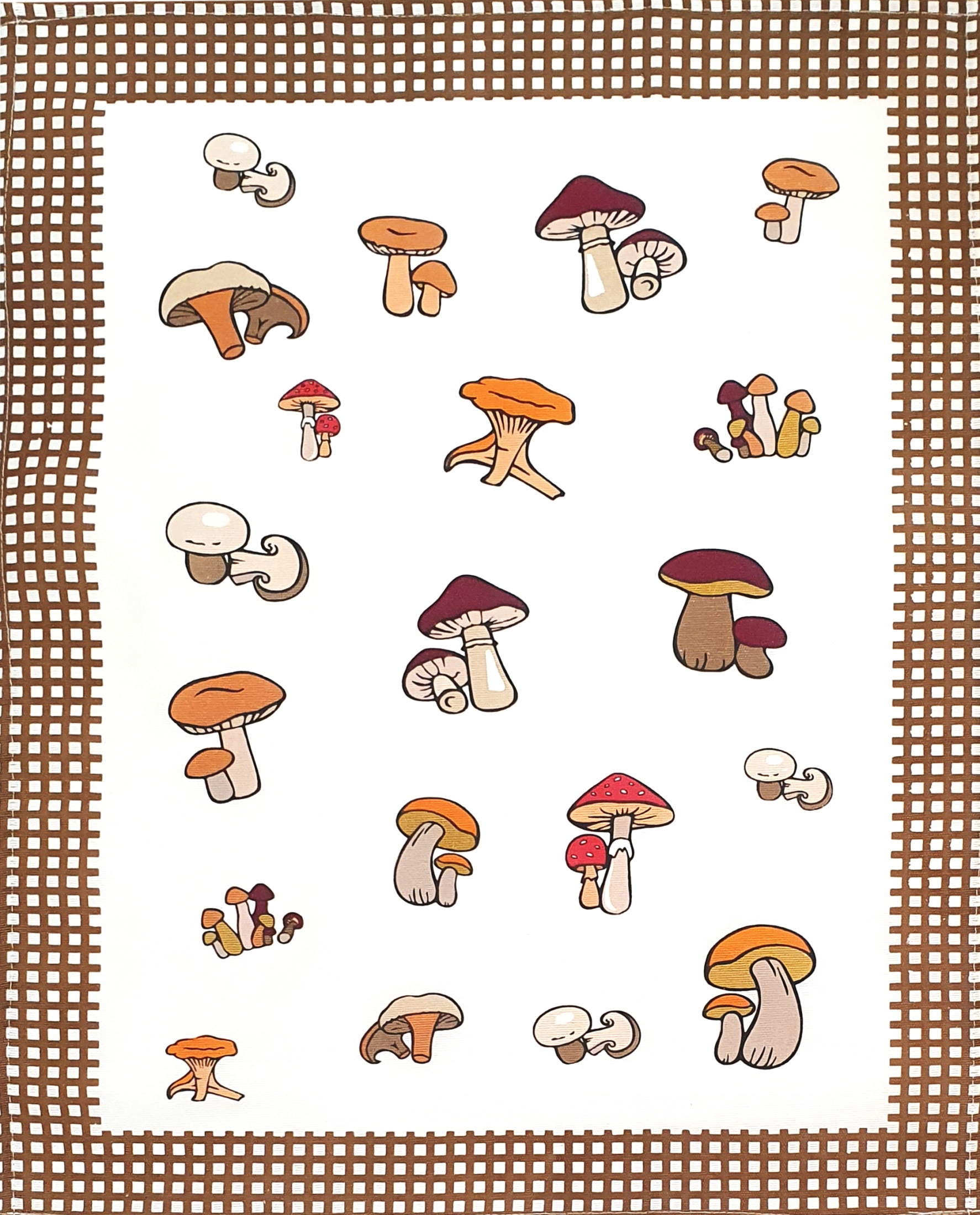 

Ścierka kuchenna 55x66 Grzybobranie