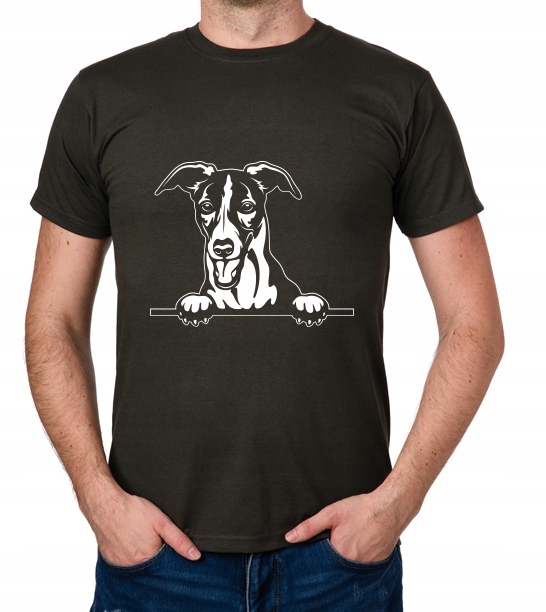 

koszulka Chart Angielski Whippet Pies prezent