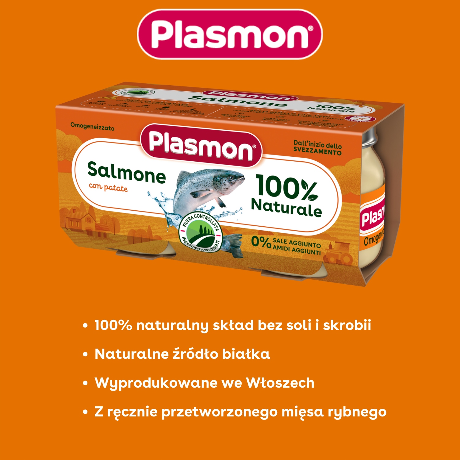 PLASMON Obiadek Łosoś z ziemniakami 2x80g Marka inna marka