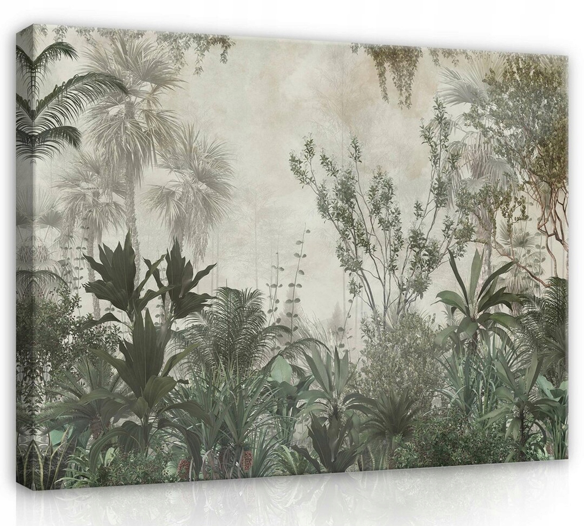Obraz Na Plátně Canvas 70x50 Krajina Džungle Les Stromy Pohled