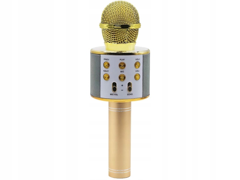 

Głośnik mobilny z mikrofonem Manta MIC10-G Złoty