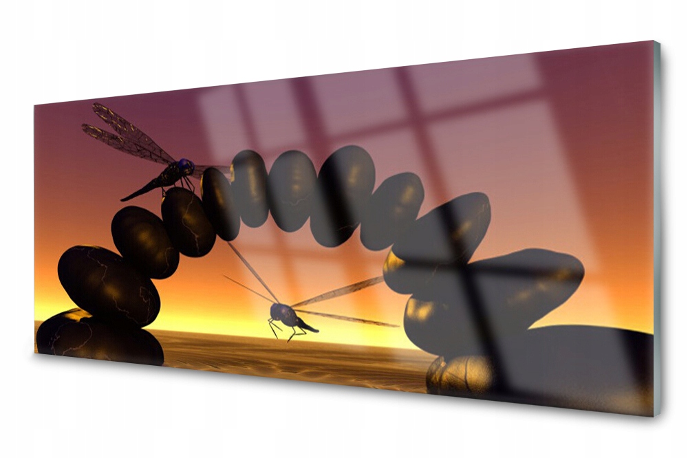 

Panel szklany do kuchni Ważki Dekor 125x50