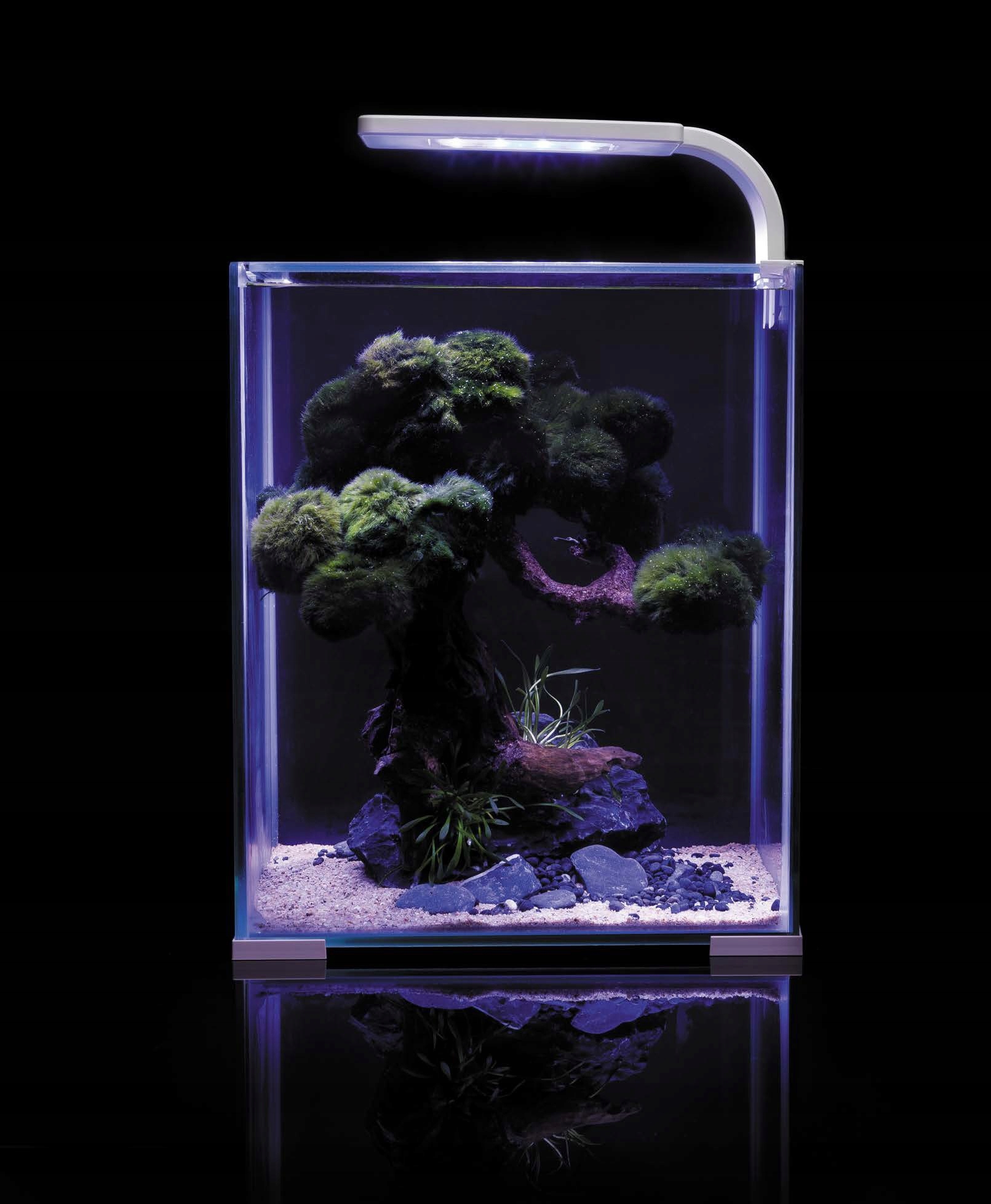 Levně Akvarijní sada Aquael Shrimp Set Day & Night 20 x 20 x 25 cm 10 l