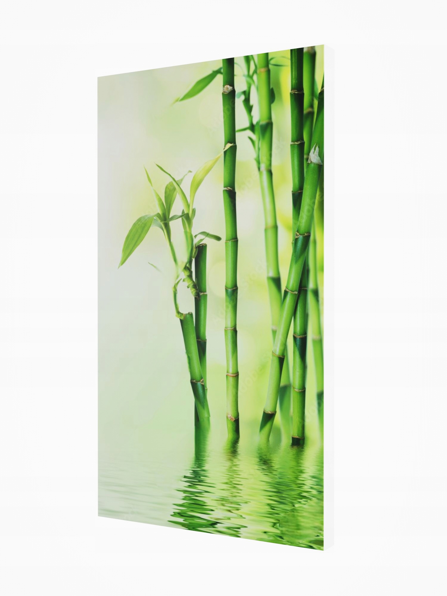 Dekorativní radiátor s Obrazem ART22. 545x970