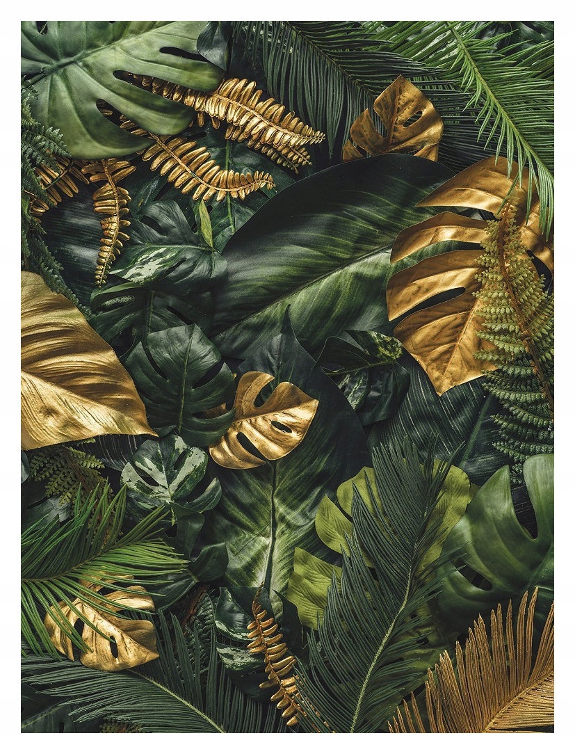 Fototapeta Tropické listy Monstera Palmy exotika 206x275 lepidlo