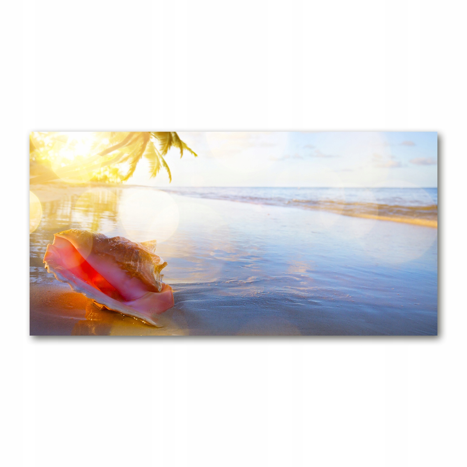 

Foto obraz akryl zdjęcie Muszla na plaży 120X60 cm