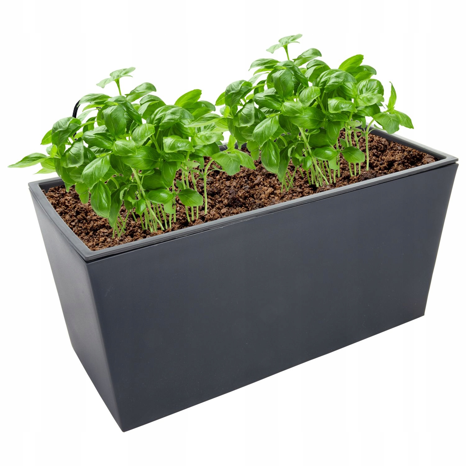 

Doniczka Skrzynka Balkonowa + Wieszaki