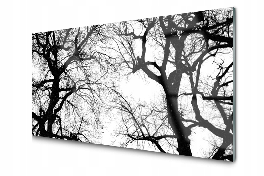 

Panel szklany Płytka Drzewa Czarno-Biały 140x70