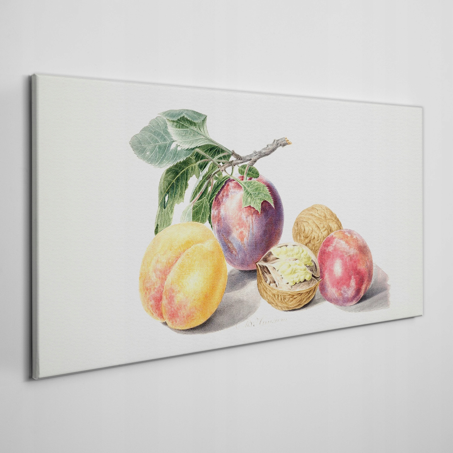 

Obraz na ramie płótno Owoce gałąź liście 120x60 cm