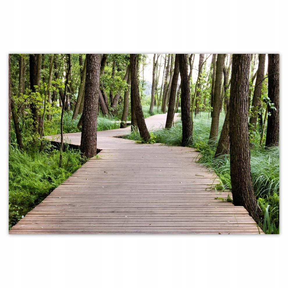 

Plakaty 60x40 Park w Wolsztynie
