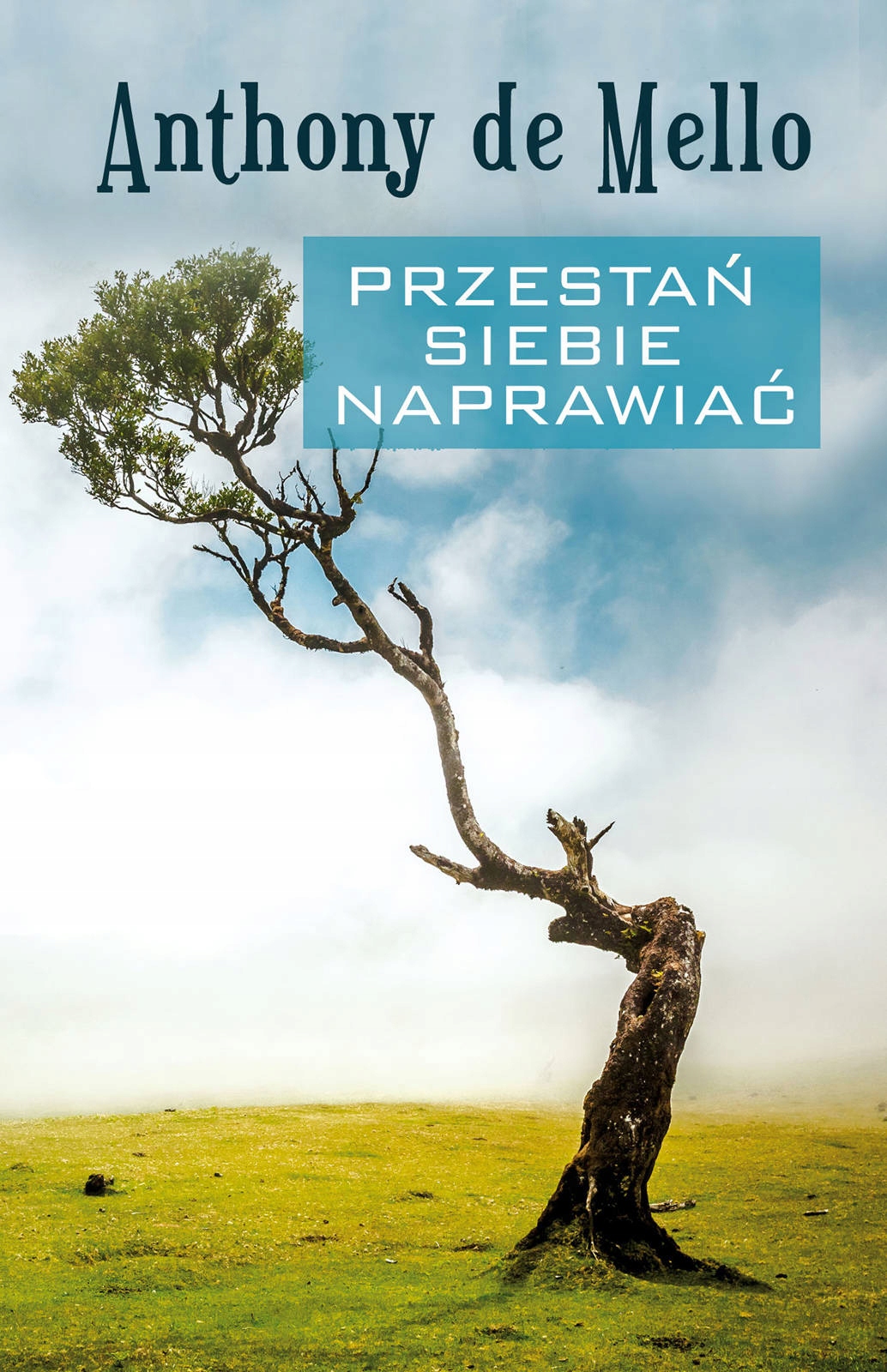 

Przestań siebie naprawiać, Anthony de Mello