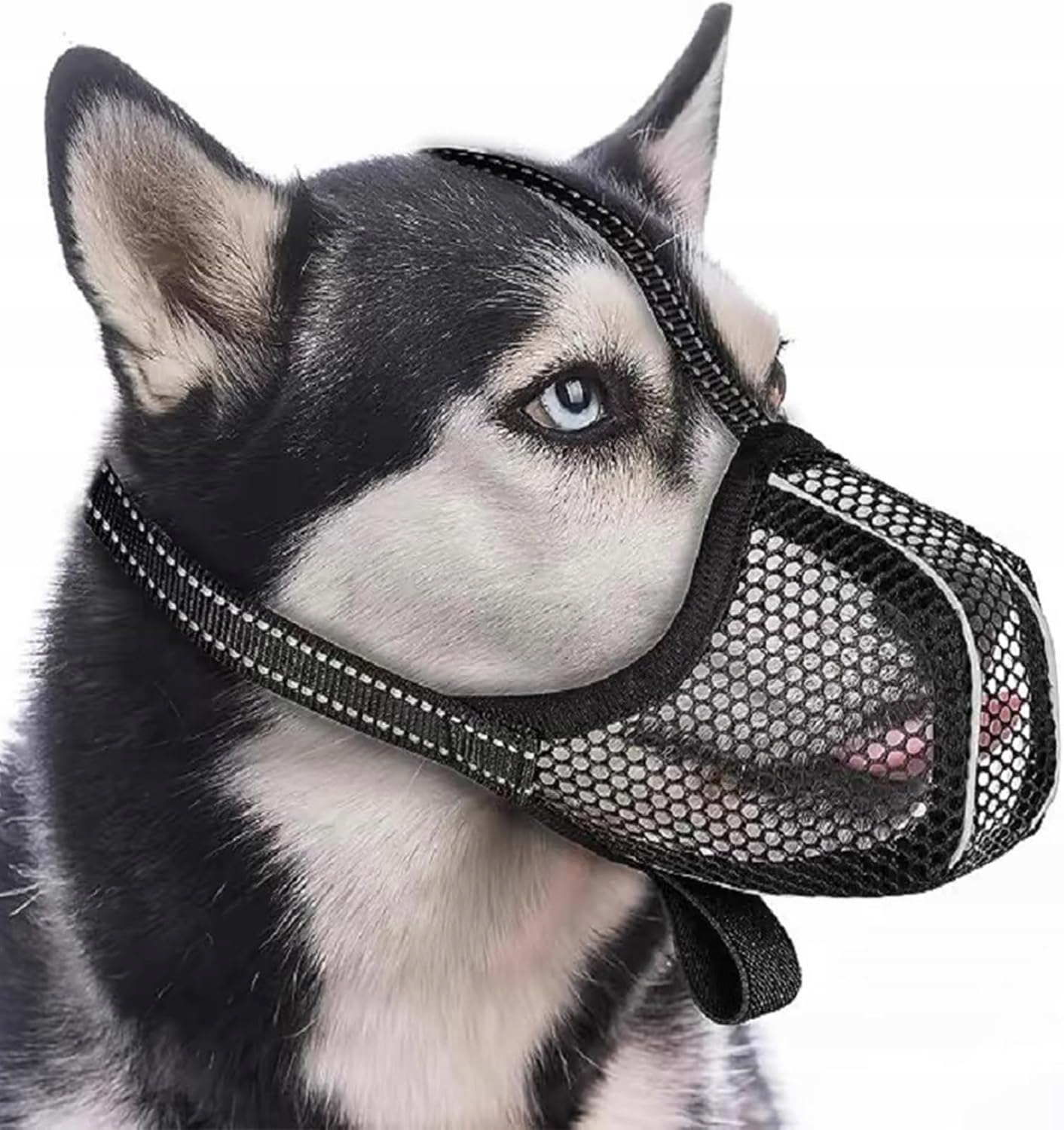 Levně Náhubek Pro Psa Reflexní Síťka Bezpečná, Pohodlná, Univerzální